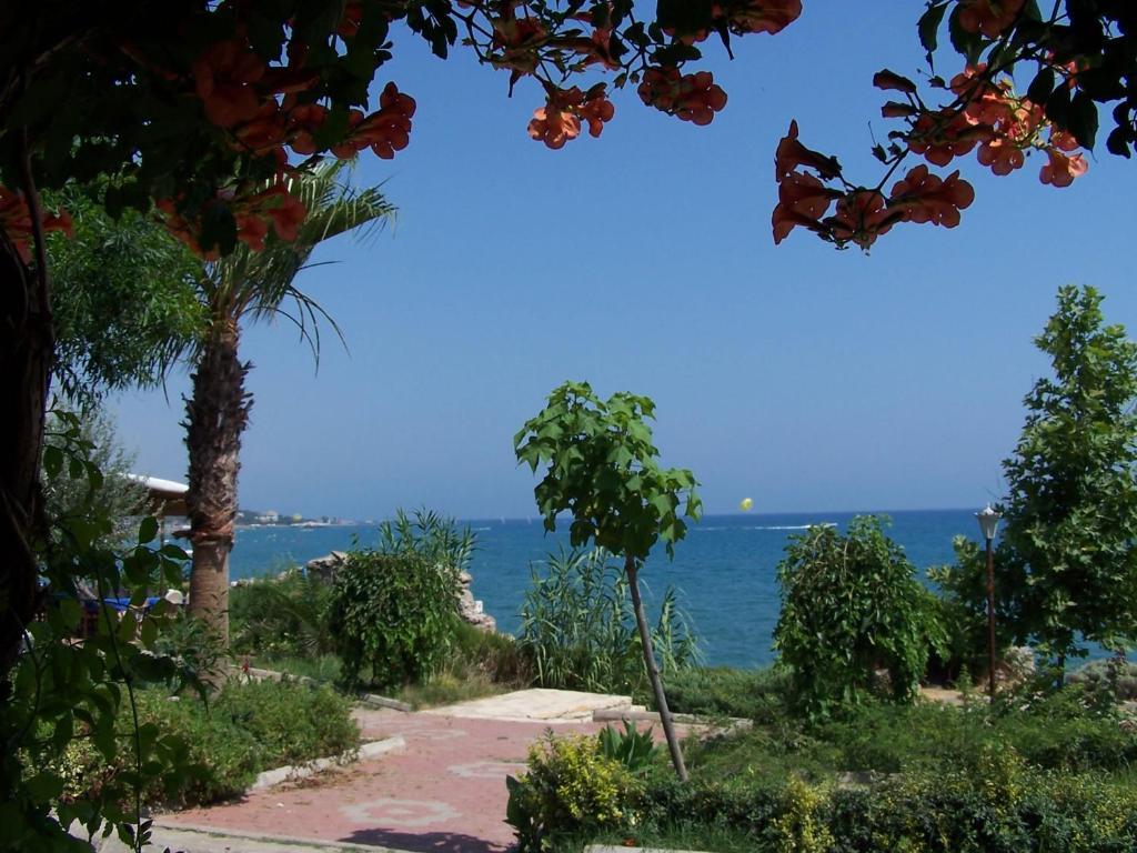 Guven Hotel Alanya Kültér fotó