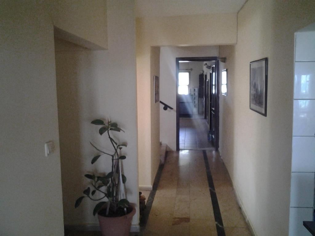 Guven Hotel Alanya Kültér fotó